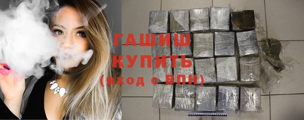 индика Бронницы