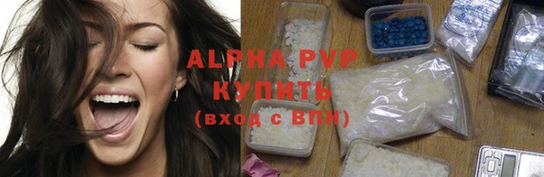 индика Бронницы