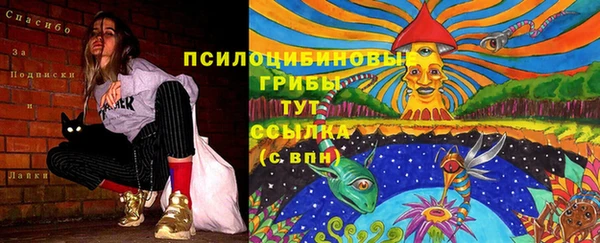 скорость Богородицк