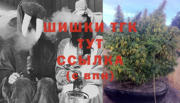 индика Бронницы